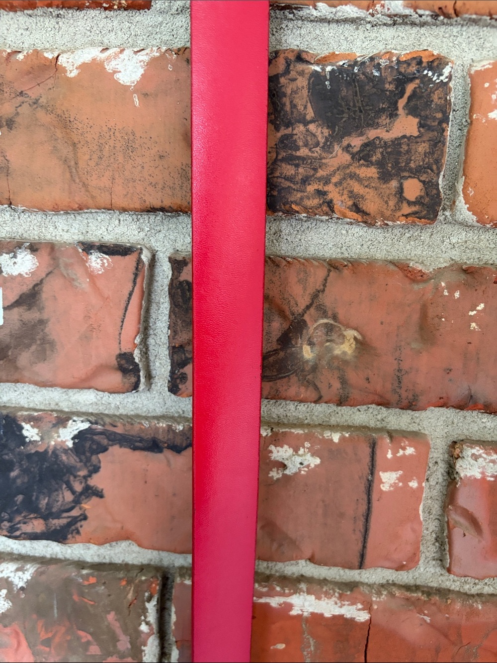 Red belt - Picture 5 of 7